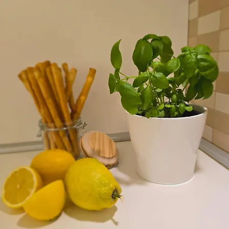 Alicia With Private Pool Appartamento Vodice